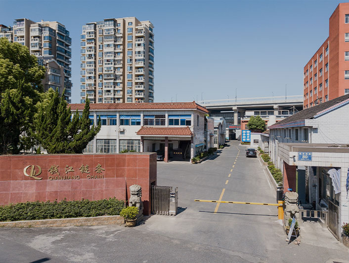 Hangzhou Qianjiang Chain Industria Co., Ltd.
