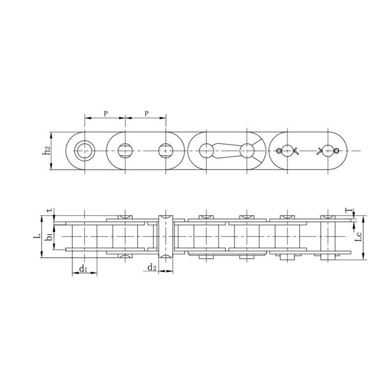 Catenas cylindrus cum recta parte laminae ( Series )