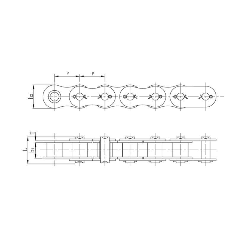 Genus breve picis praecisio cylindrus catenae ( A series )