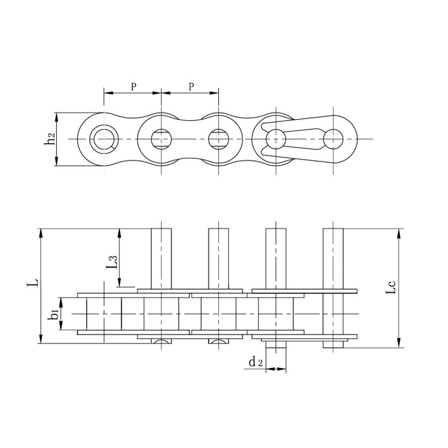 Brevis pice TRADUCTOR vincula extensa fibulae