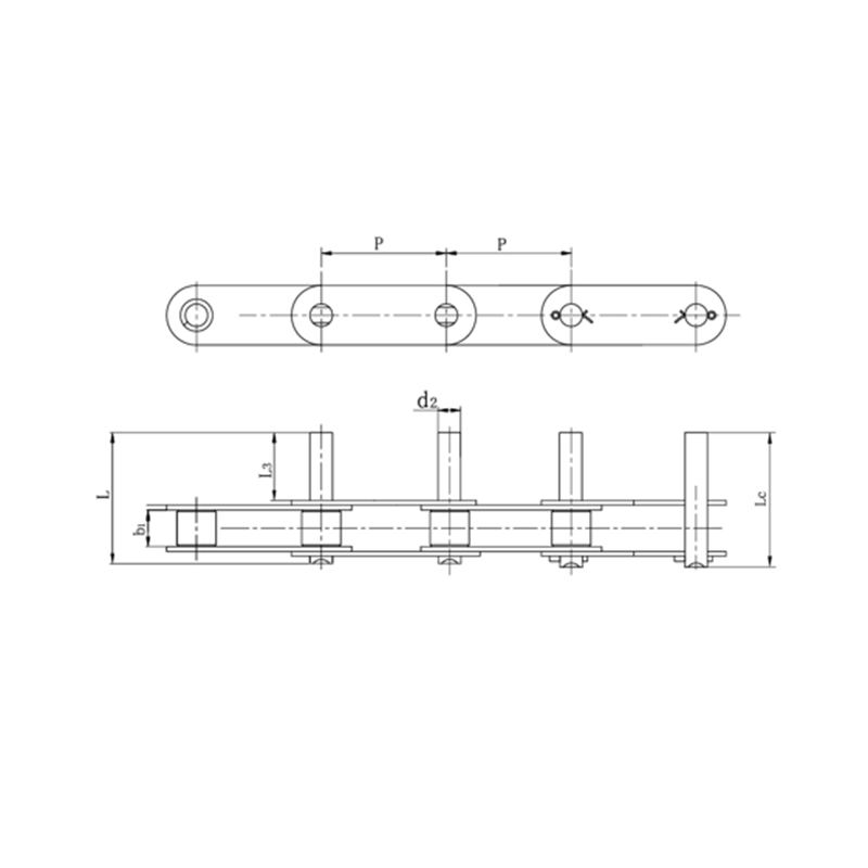 Duplex TRADUCTOR catenis pice extenso fibulae
