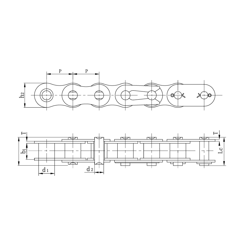 Vexillum motorcycle catenis