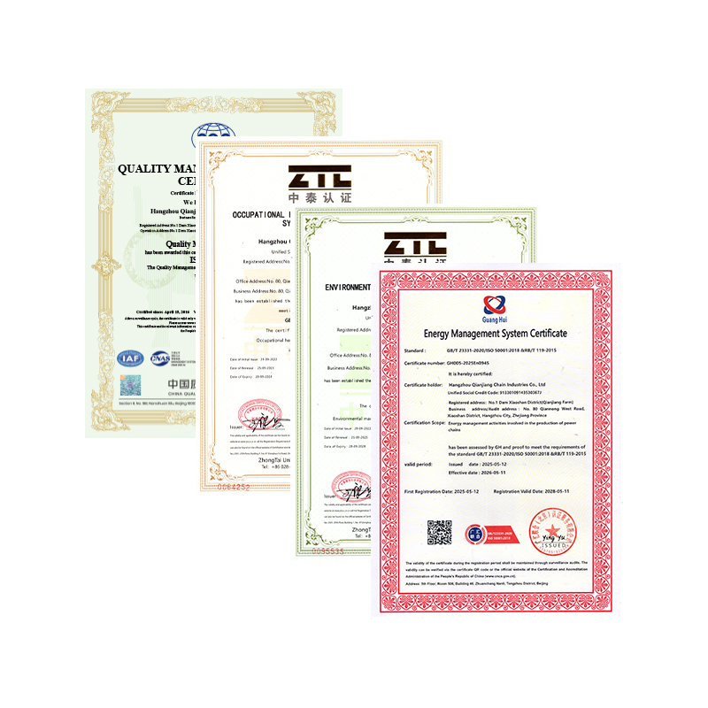 Hangzhou Qianjiang Catena Industria Co., Ltd. Transierunt annui systematis certificationis